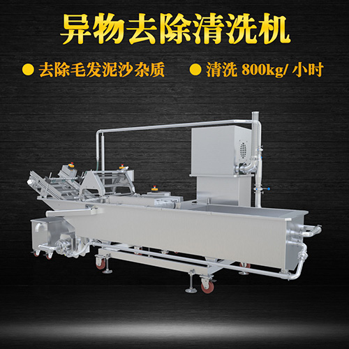 果蔬氣泡翻洗機(jī)，有效清洗，過濾泥沙